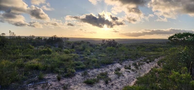 0 Bedroom Property for Sale in Stilbaai Rural Western Cape